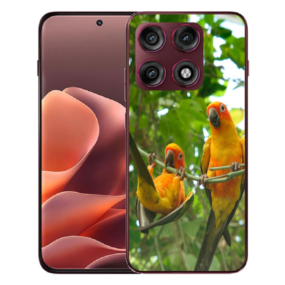 Gélový kryt mmCase na Motorola Edge 70 Pro - papagáje aratingy