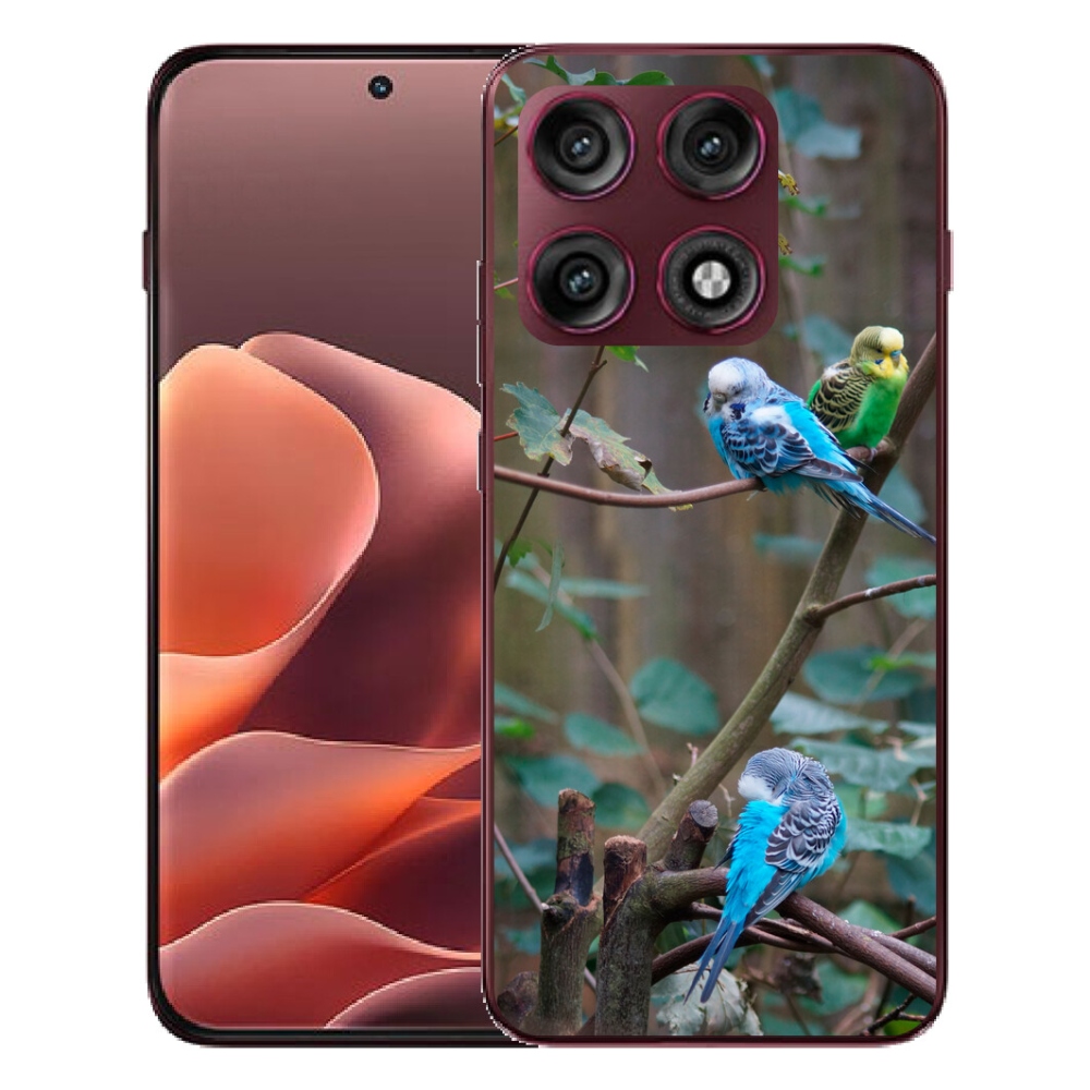 Gélový kryt mmCase na Motorola Edge 70 Pro - papagáje na vetve