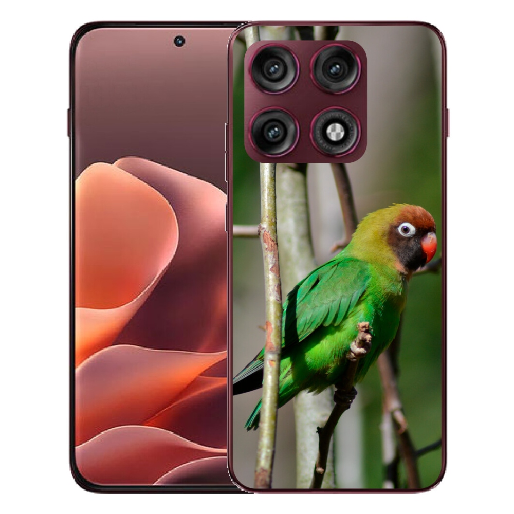 Gélový kryt mmCase na Motorola Edge 70 Pro - papagáj agapornis