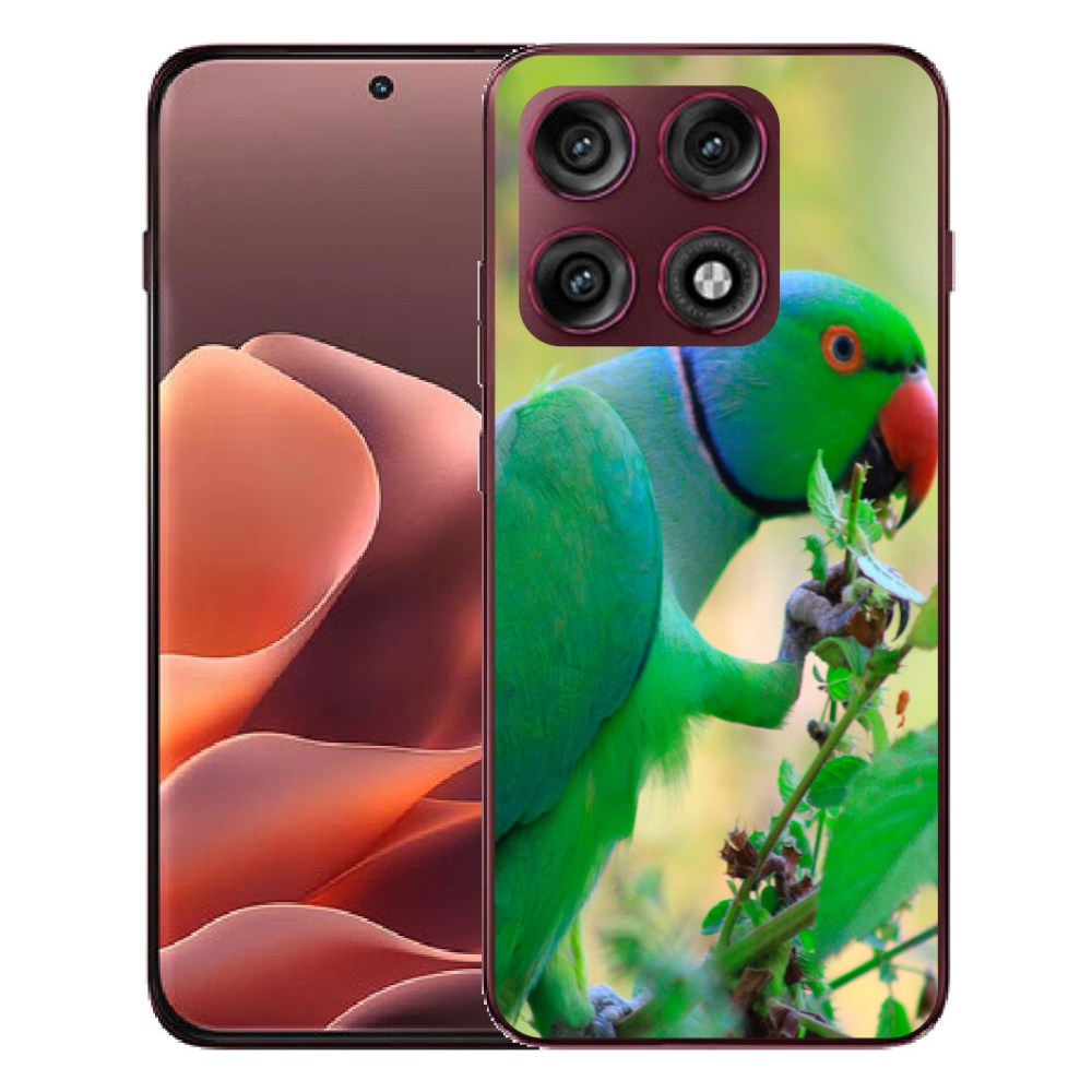 Gélový kryt mmCase na Motorola Edge 70 Pro - papagáj alender