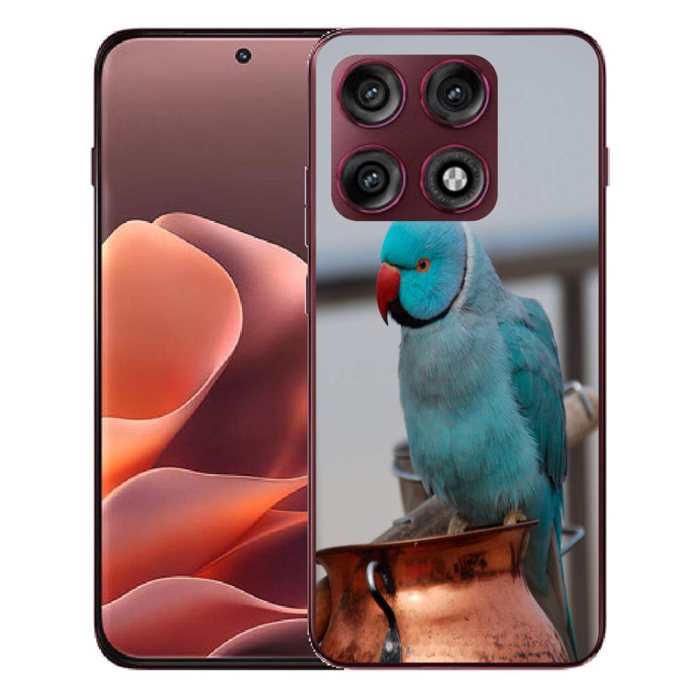 Gélový kryt mmCase na Motorola Edge 70 Pro - papagáj Alexandr modrý