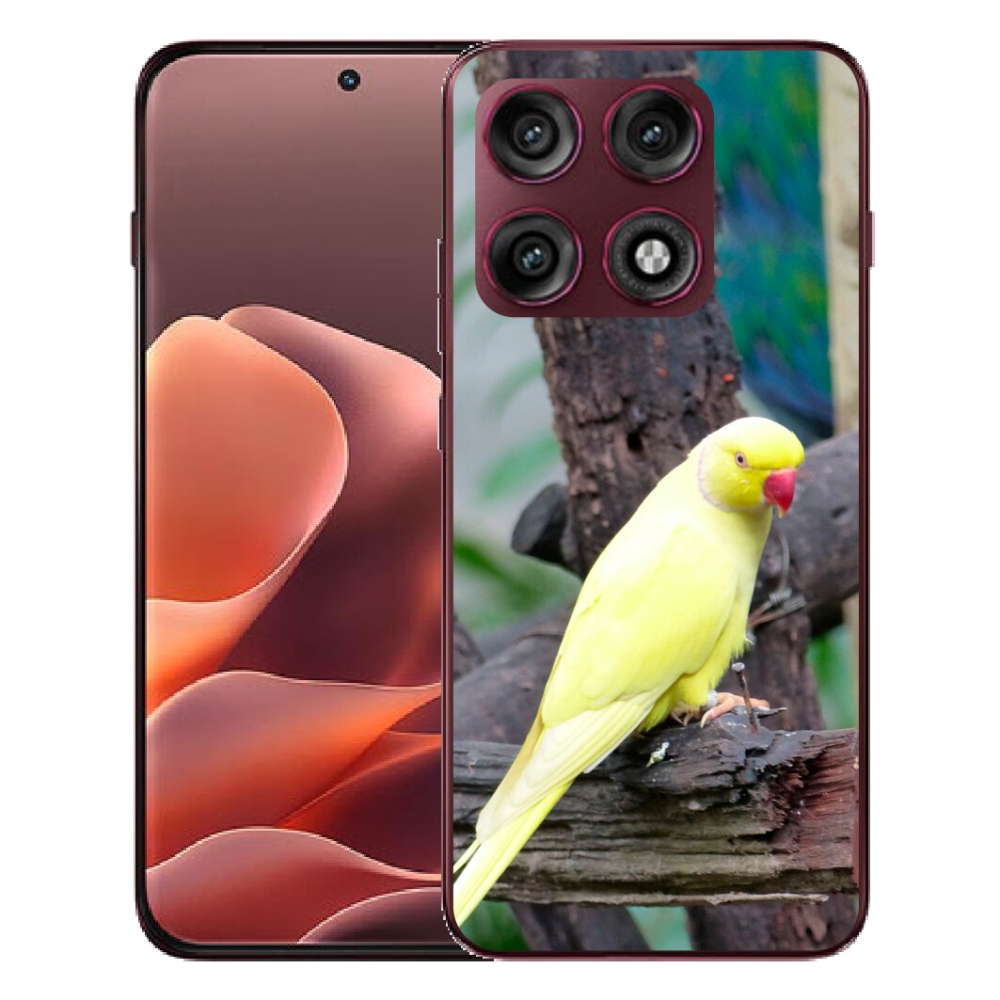 Gélový kryt mmCase na Motorola Edge 70 Pro - papagáj alexander žltý
