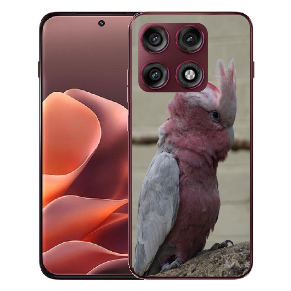 Gélový kryt mmCase na Motorola Edge 70 Pro - papagáj kakadu ružový