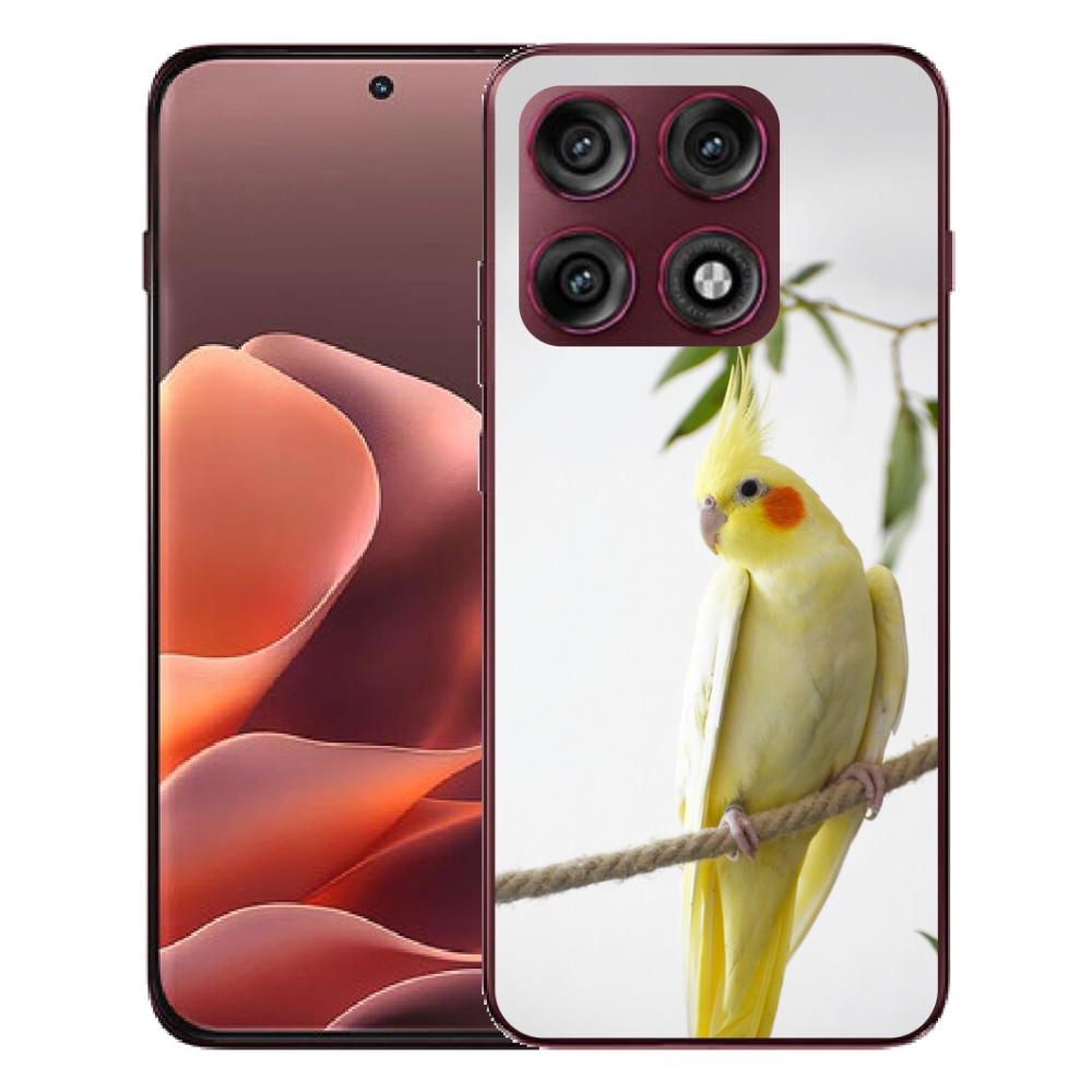 Gélový kryt mmCase na Motorola Edge 70 Pro - papagáj korela chocholatá