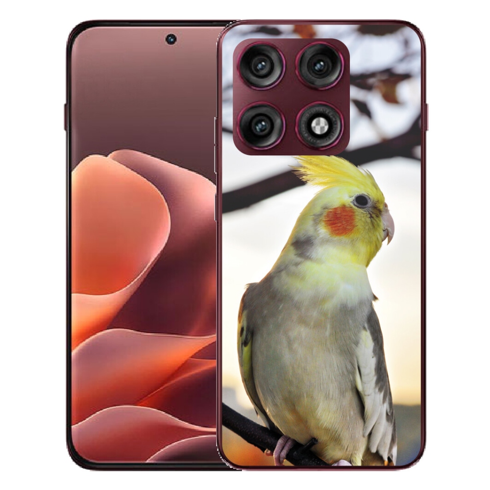 Gélový kryt mmCase na Motorola Edge 70 Pro - papagáj korela