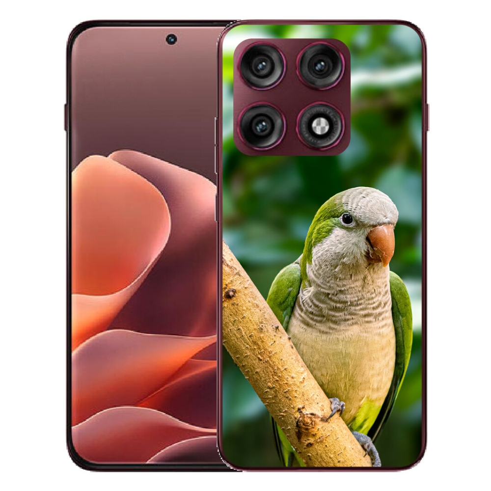 Gélový kryt mmCase na Motorola Edge 70 Pro - papagáj mníšok