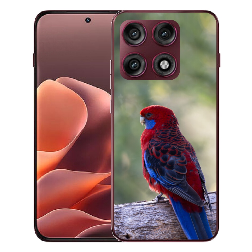 Gélový kryt mmCase na Motorola Edge 70 Pro - papagáj rosela