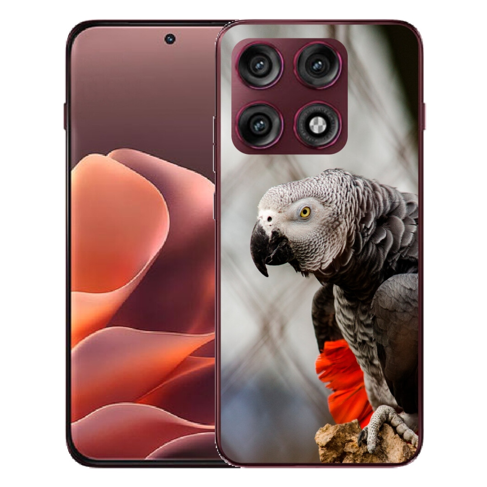 Gélový kryt mmCase na Motorola Edge 70 Pro - papagáj žako 3