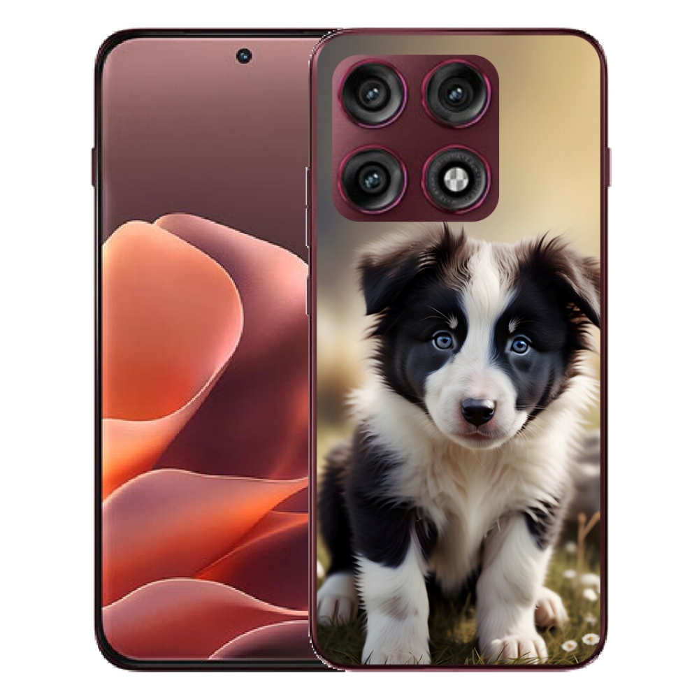 Gélový kryt mmCase na Motorola Edge 70 Pro - roztomilá border kólia