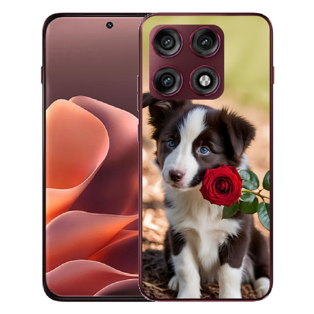 Gélový kryt mmCase na Motorola Edge 70 Pro - roztomilá border kólia s ružou