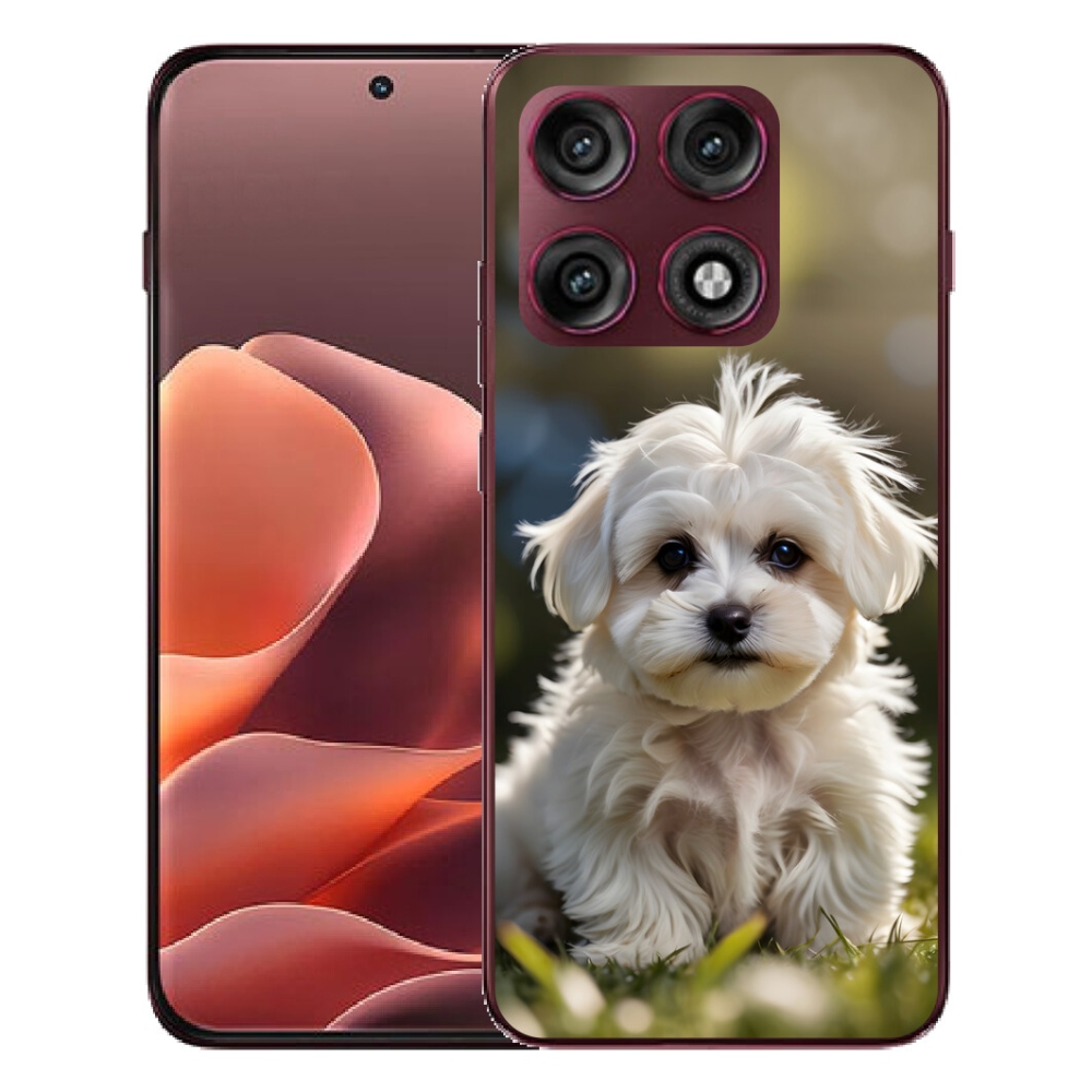 Gélový kryt mmCase na Motorola Edge 70 Pro - roztomilý maltézsky psík