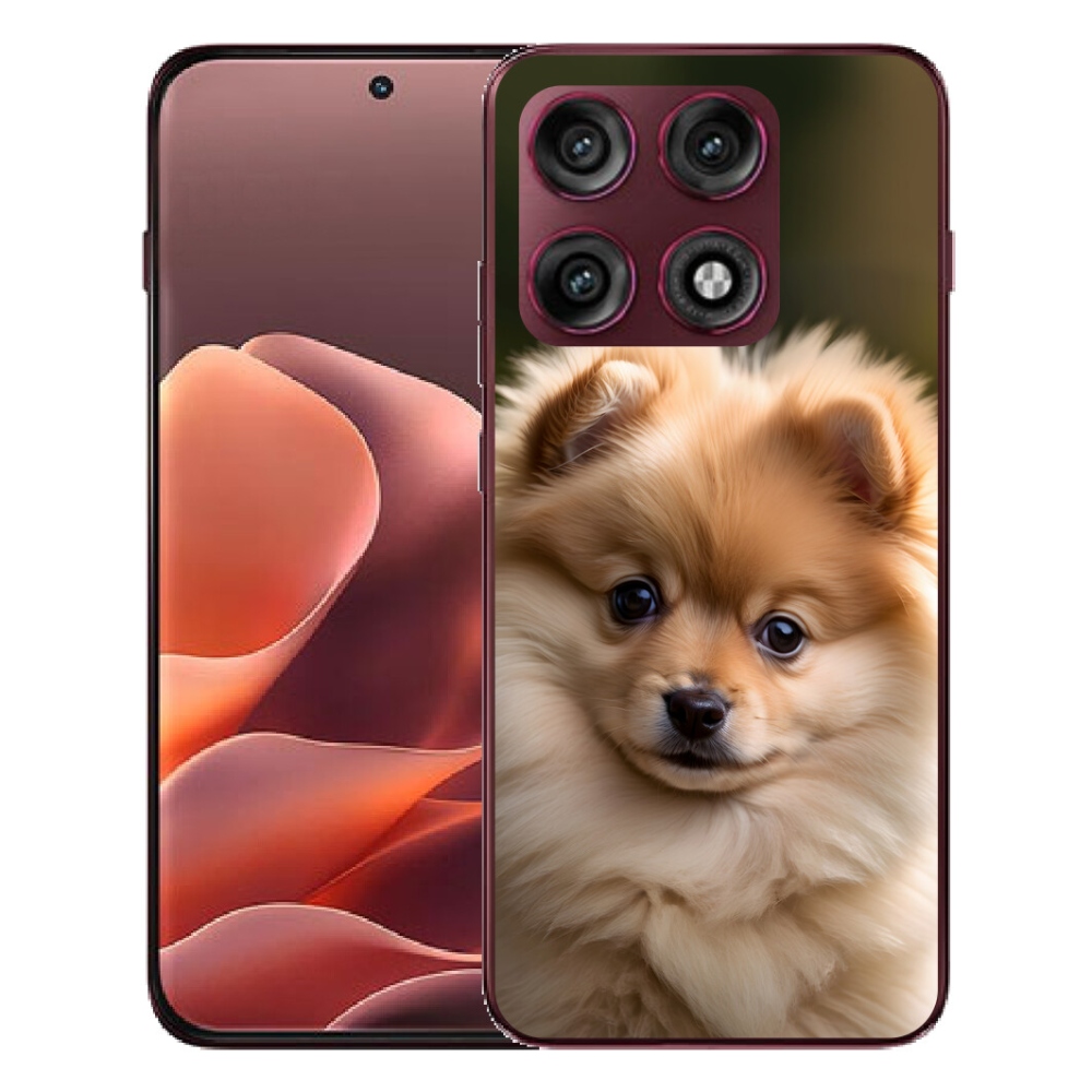 Gélový kryt mmCase na Motorola Edge 70 Pro - roztomilý pomeranian 2