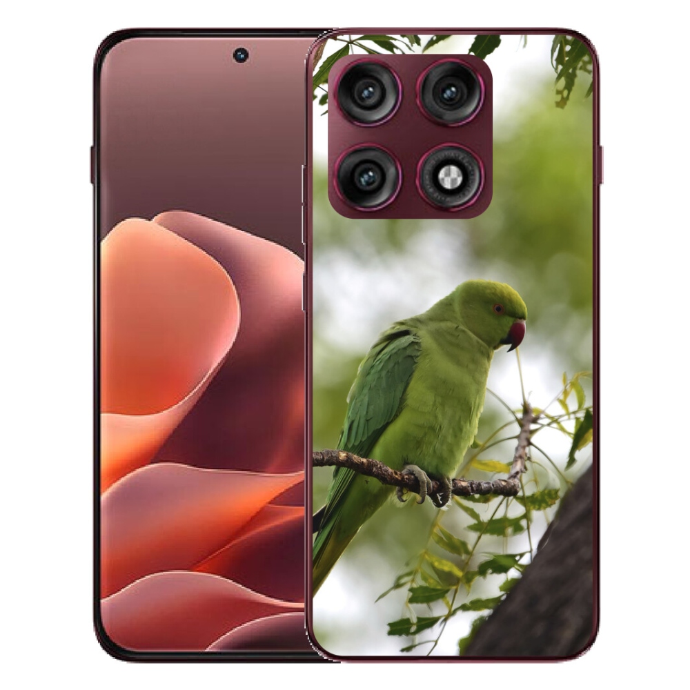 Gélový kryt mmCase na Motorola Edge 70 Pro - zelený papagáj