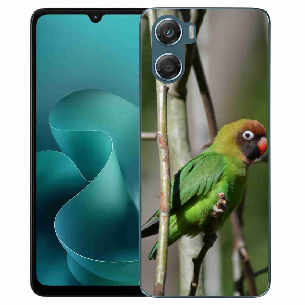 Gélový kryt mmCase na Motorola G06/G06 Power - papagáj agapornis