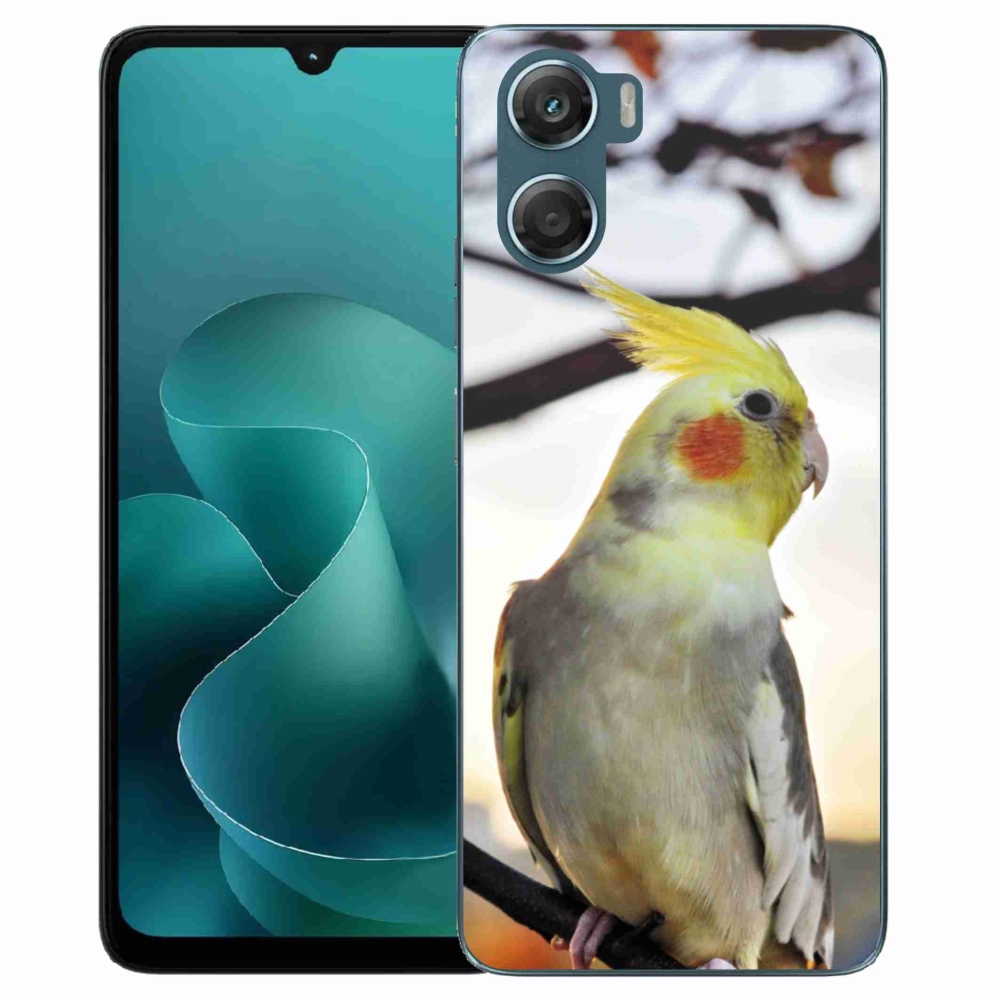 Gélový kryt mmCase na Motorola G06/G06 Power - papagáj korela