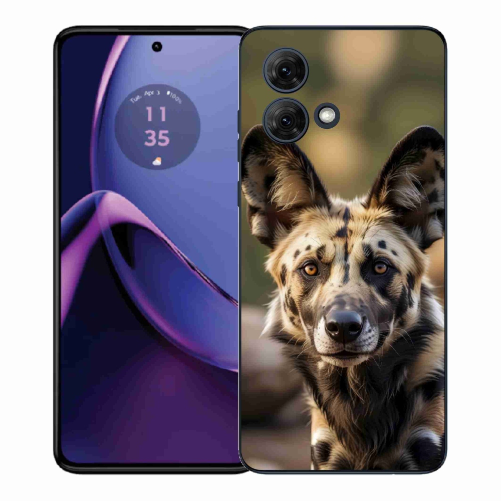 Gélový kryt mmCase na Motorola Moto G84 5G - africký divoký pes