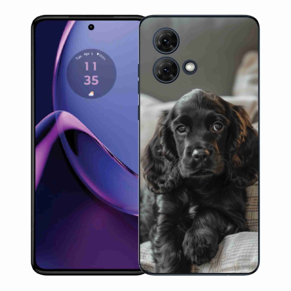 Gélový kryt mmCase na Motorola Moto G84 5G - anglický kokeršpaniel