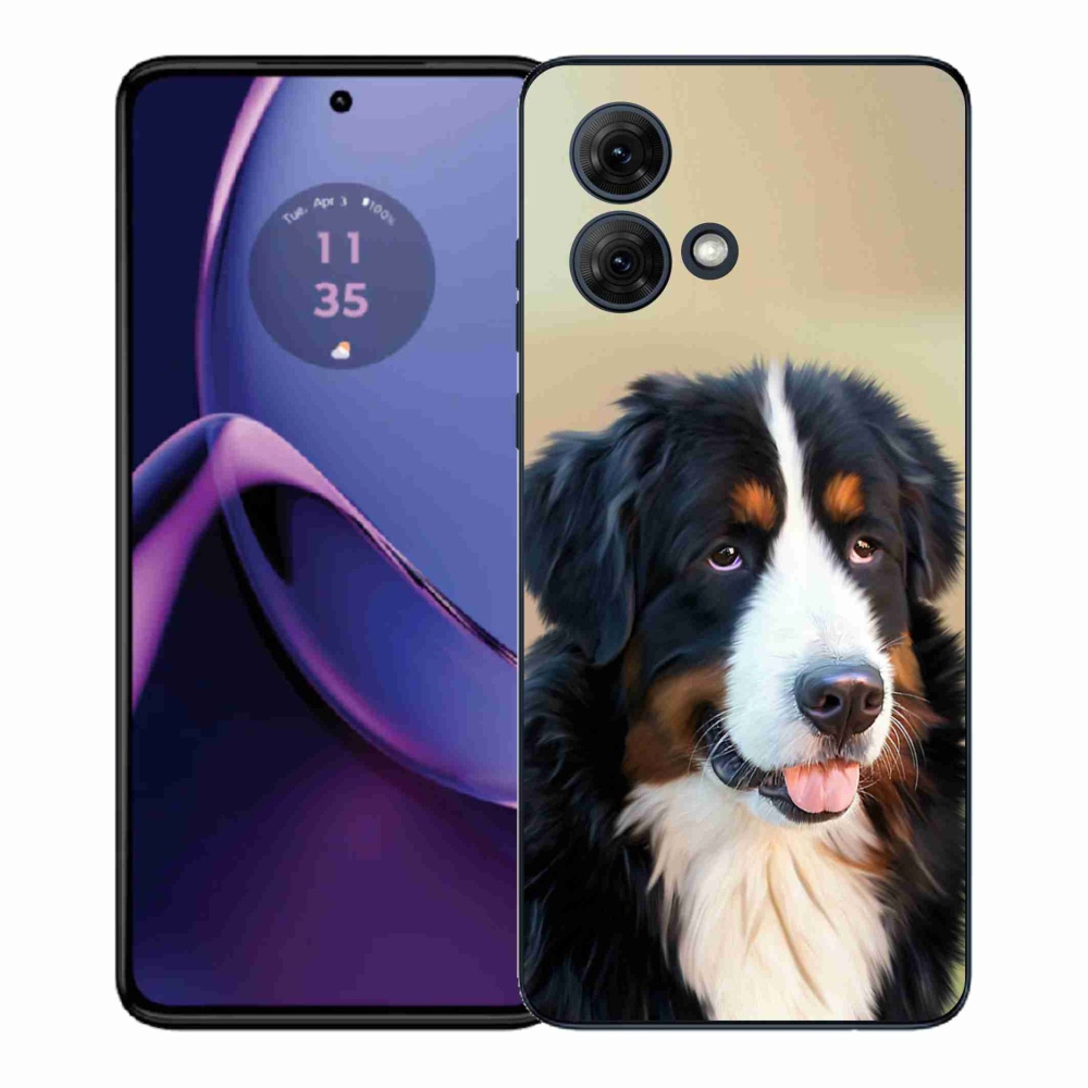 Gélový kryt mmCase na Motorola Moto G84 5G - bernský salašnícky pes