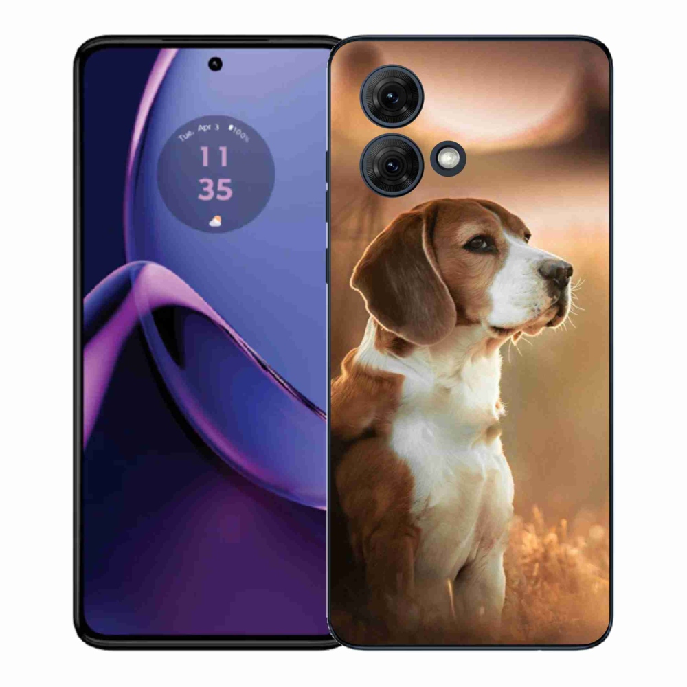 Gélový kryt mmCase na Motorola Moto G84 5G - bígl