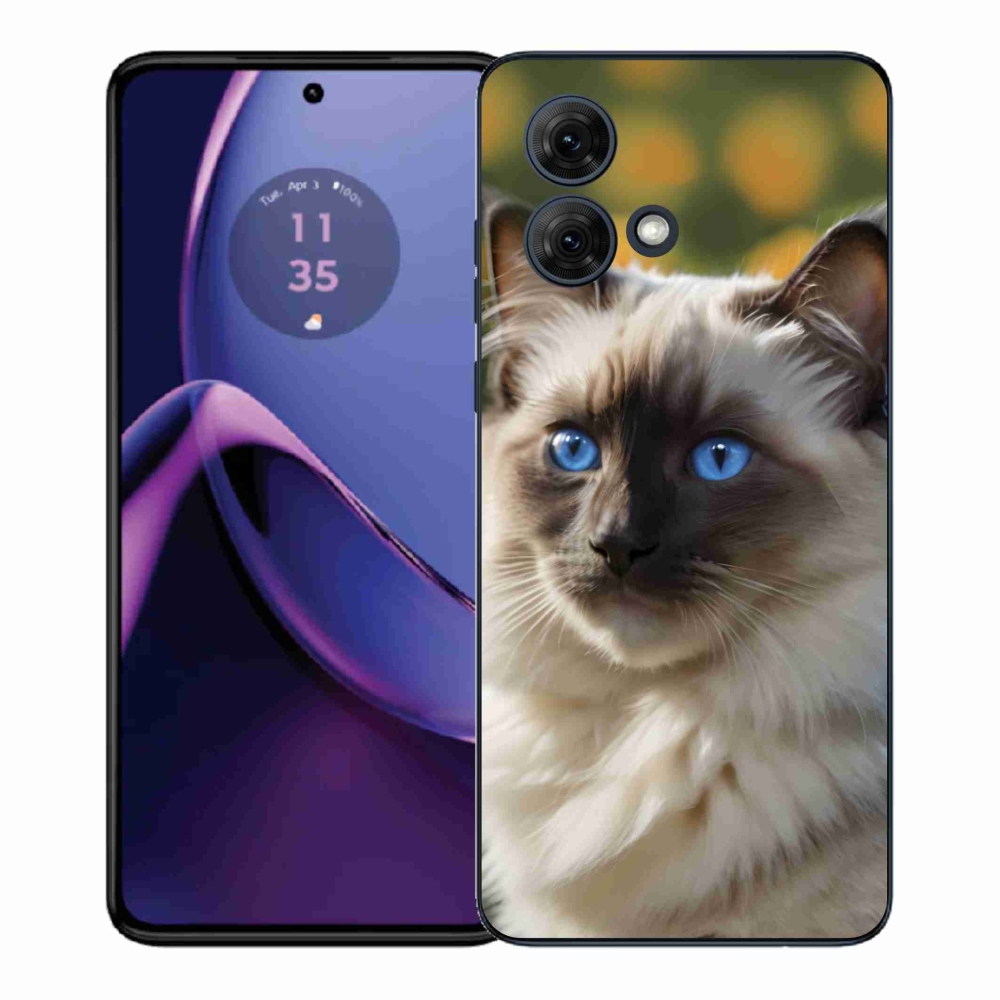 Gélový kryt mmCase na Motorola Moto G84 5G - biely ragdoll