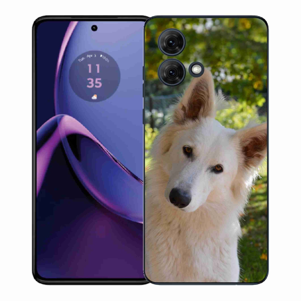 Gélový kryt mmCase na Motorola Moto G84 5G - biely švajčiarsky ovčiak 1
