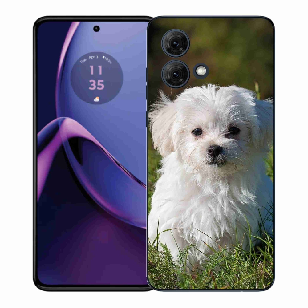 Gélový kryt mmCase na Motorola Moto G84 5G - bišónik