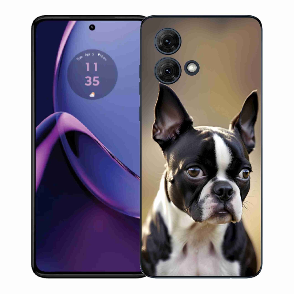 Gélový kryt mmCase na Motorola Moto G84 5G - bostonský teriér