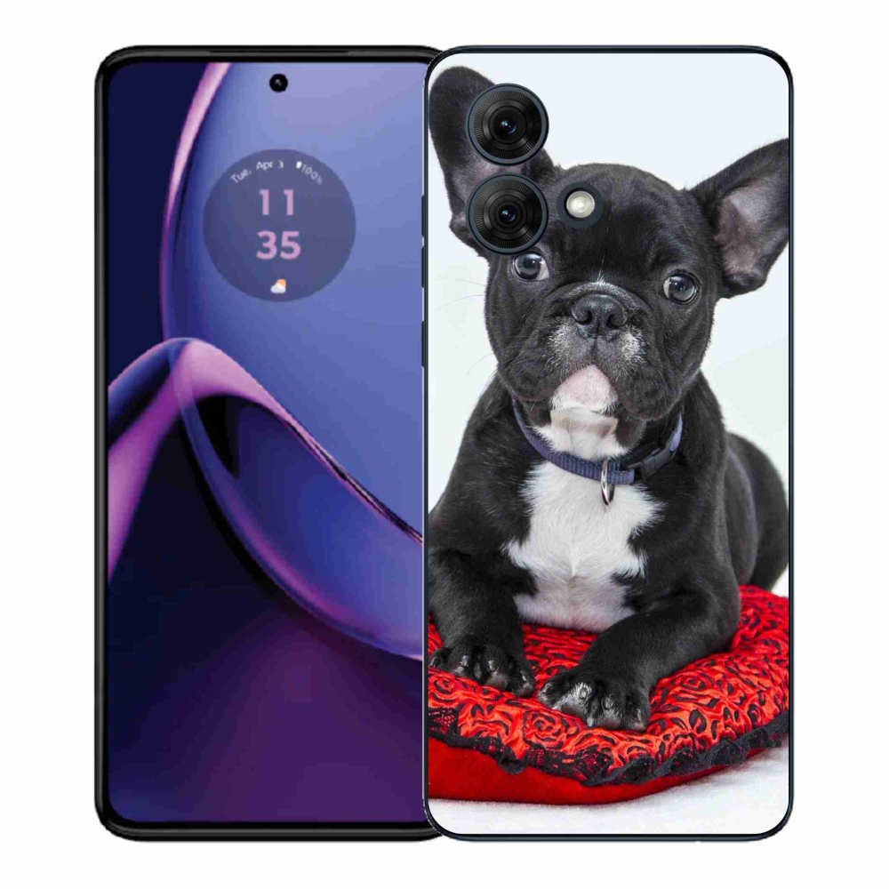 Gélový kryt mmCase na Motorola Moto G84 5G - buldog