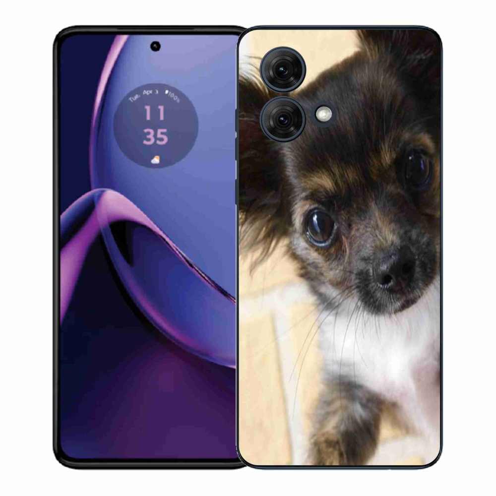 Gélový kryt mmCase na Motorola Moto G84 5G - čivava 2
