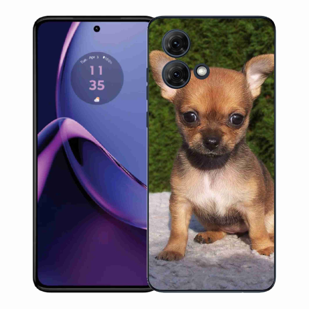 Gélový kryt mmCase na Motorola Moto G84 5G - čivava 3