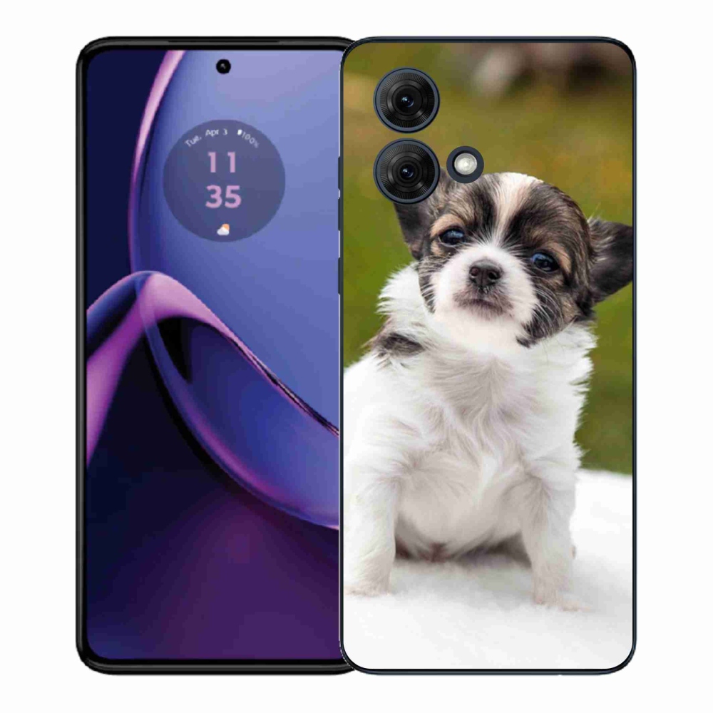 Gélový kryt mmCase na Motorola Moto G84 5G - čivava 4