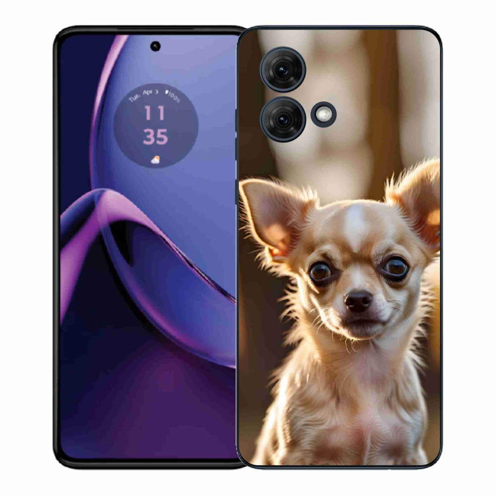Gélový kryt mmCase na Motorola Moto G84 5G - čivava 6