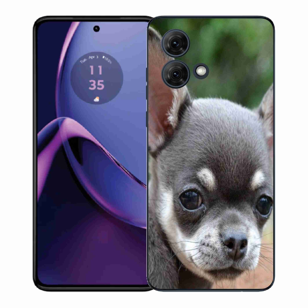 Gélový kryt mmCase na Motorola Moto G84 5G - čivava