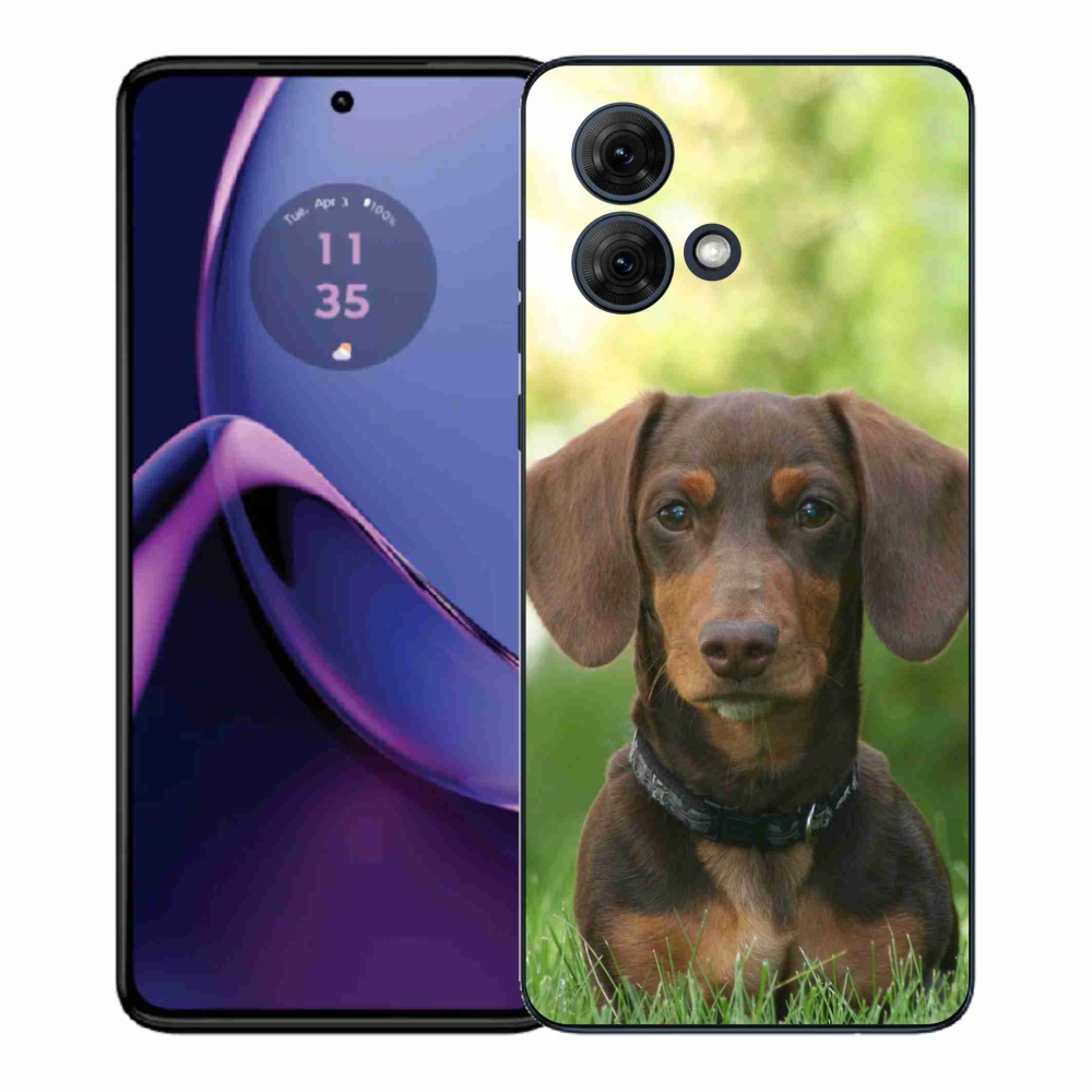 Gélový kryt mmCase na Motorola Moto G84 5G - hnedý jazvečík