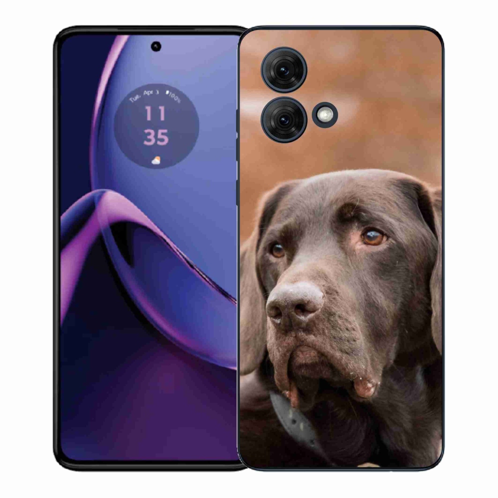 Gélový kryt mmCase na Motorola Moto G84 5G - hnedý labrador
