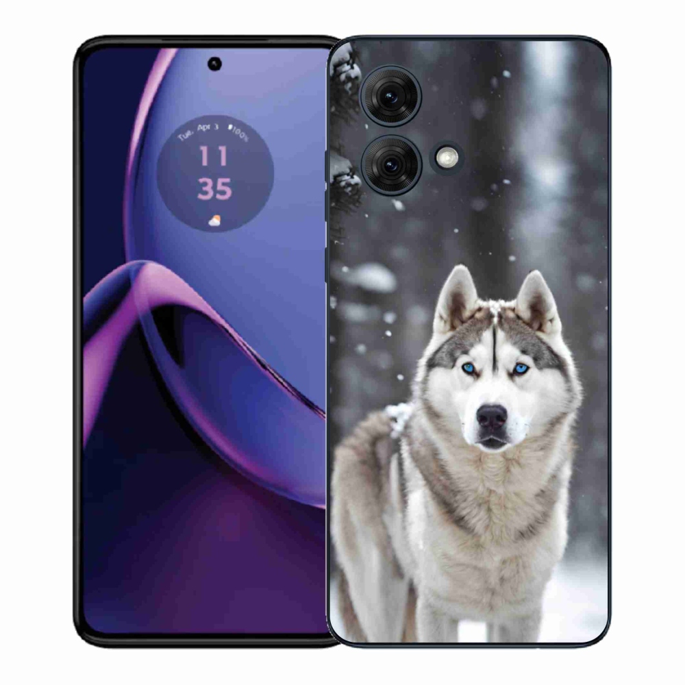 Gélový kryt mmCase na Motorola Moto G84 5G - husky 2