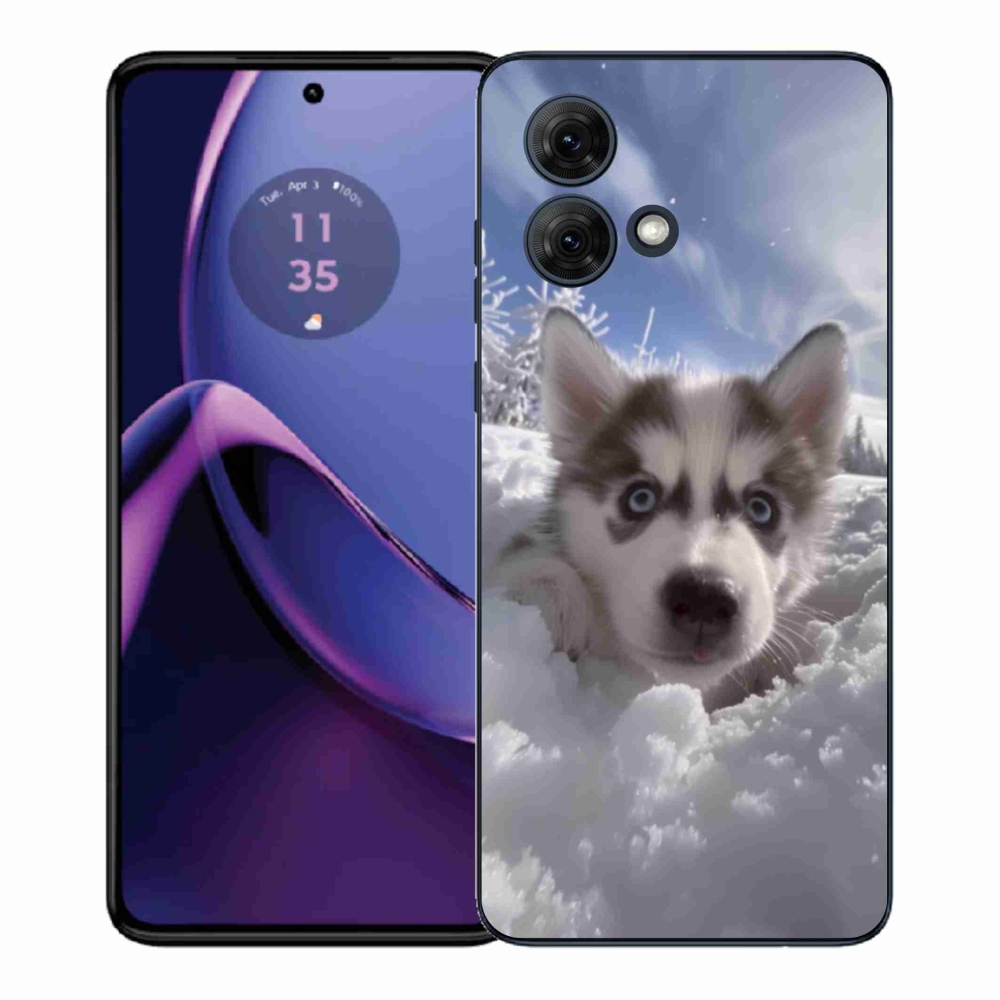 Gélový kryt mmCase na Motorola Moto G84 5G - husky v snehu
