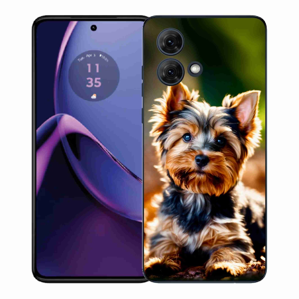 Gélový kryt mmCase na Motorola Moto G84 5G - yorkšír 10