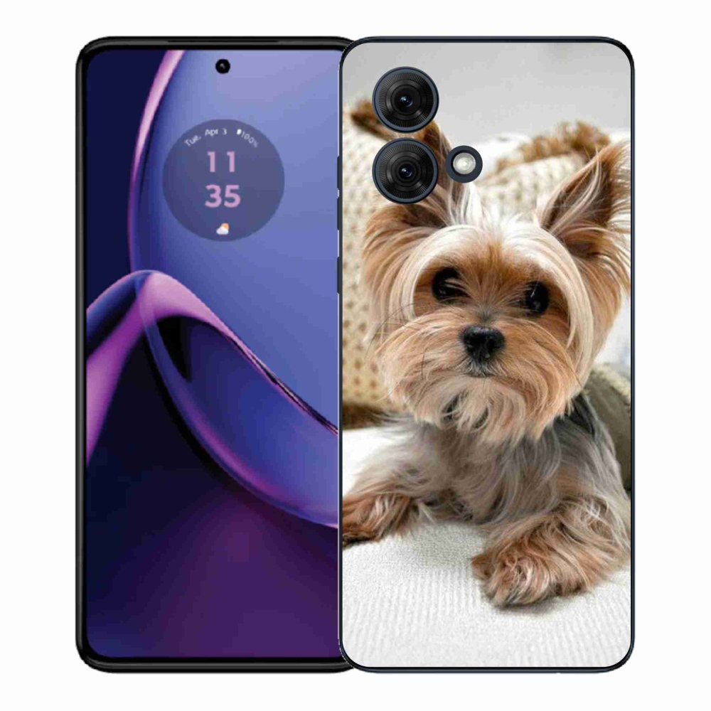 Gélový kryt mmCase na Motorola Moto G84 5G - yorkšír 5