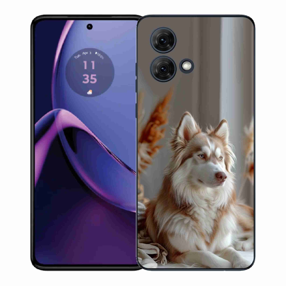 Gélový kryt mmCase na Motorola Moto G84 5G - pokojný sibírsky husky