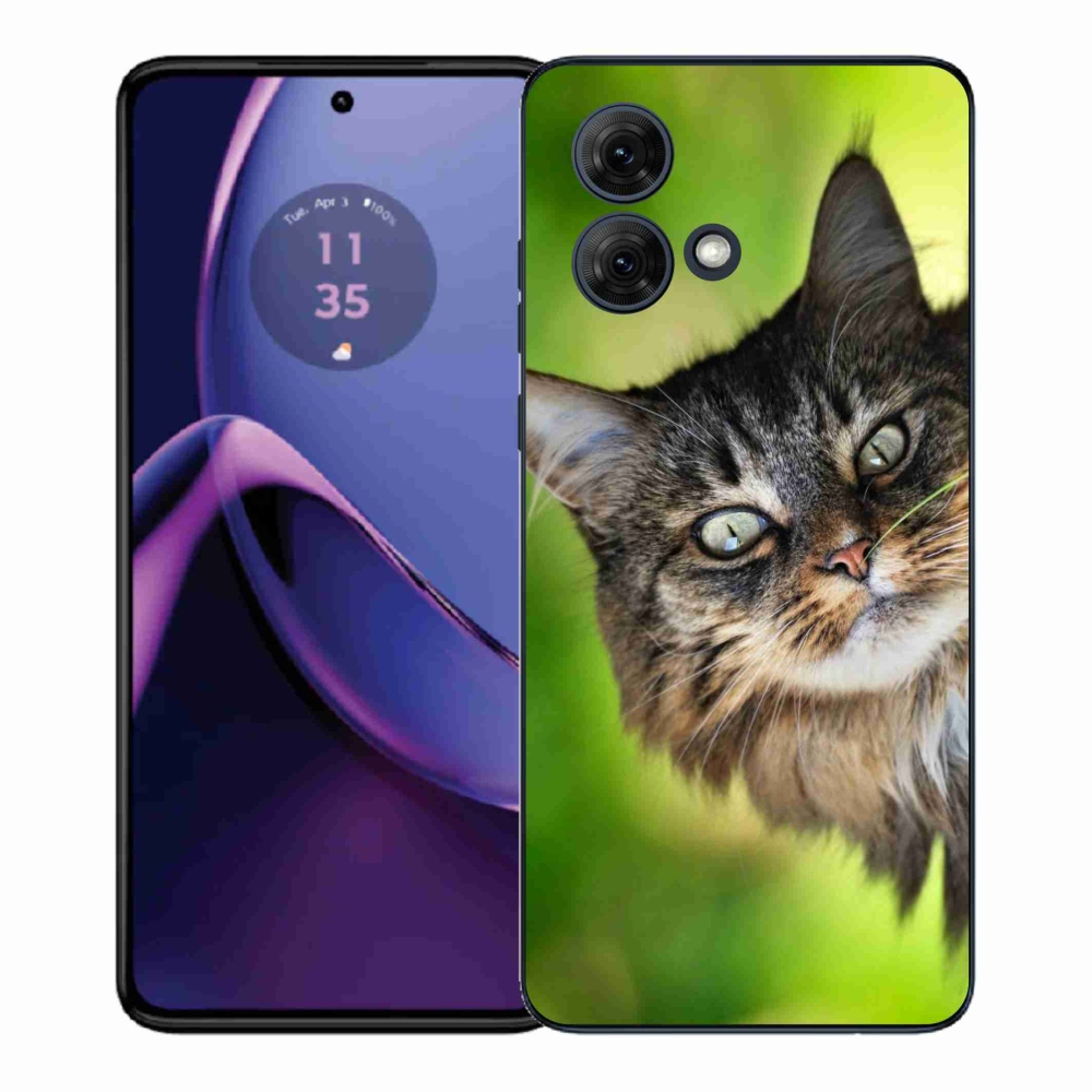 Gélový kryt mmCase na Motorola Moto G84 5G - mačka 3