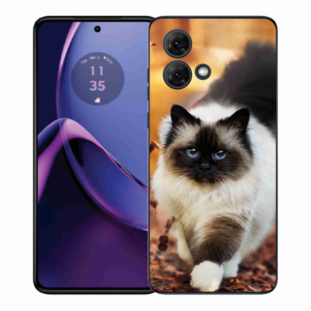 Gélový kryt mmCase na Motorola Moto G84 5G - mačka