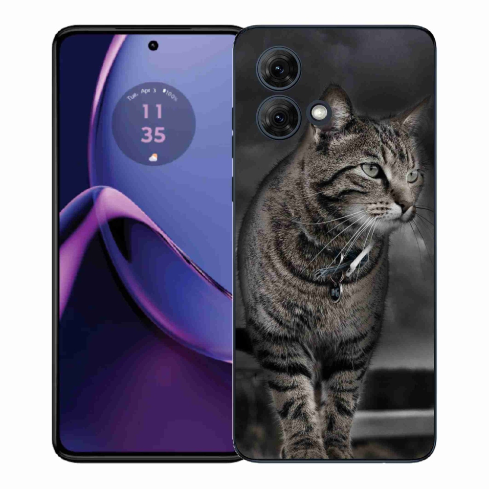 Gélový kryt mmCase na Motorola Moto G84 5G - mačka