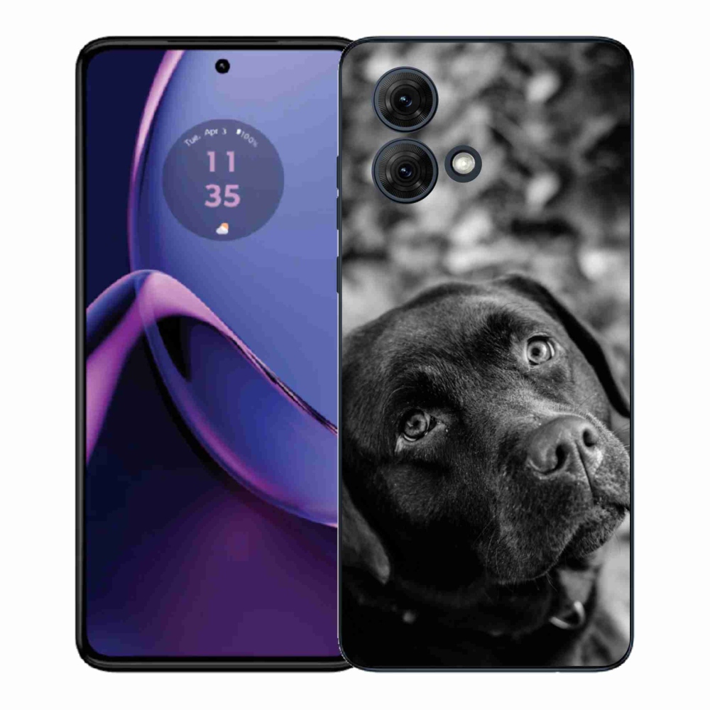 Gélový kryt mmCase na Motorola Moto G84 5G - labrador