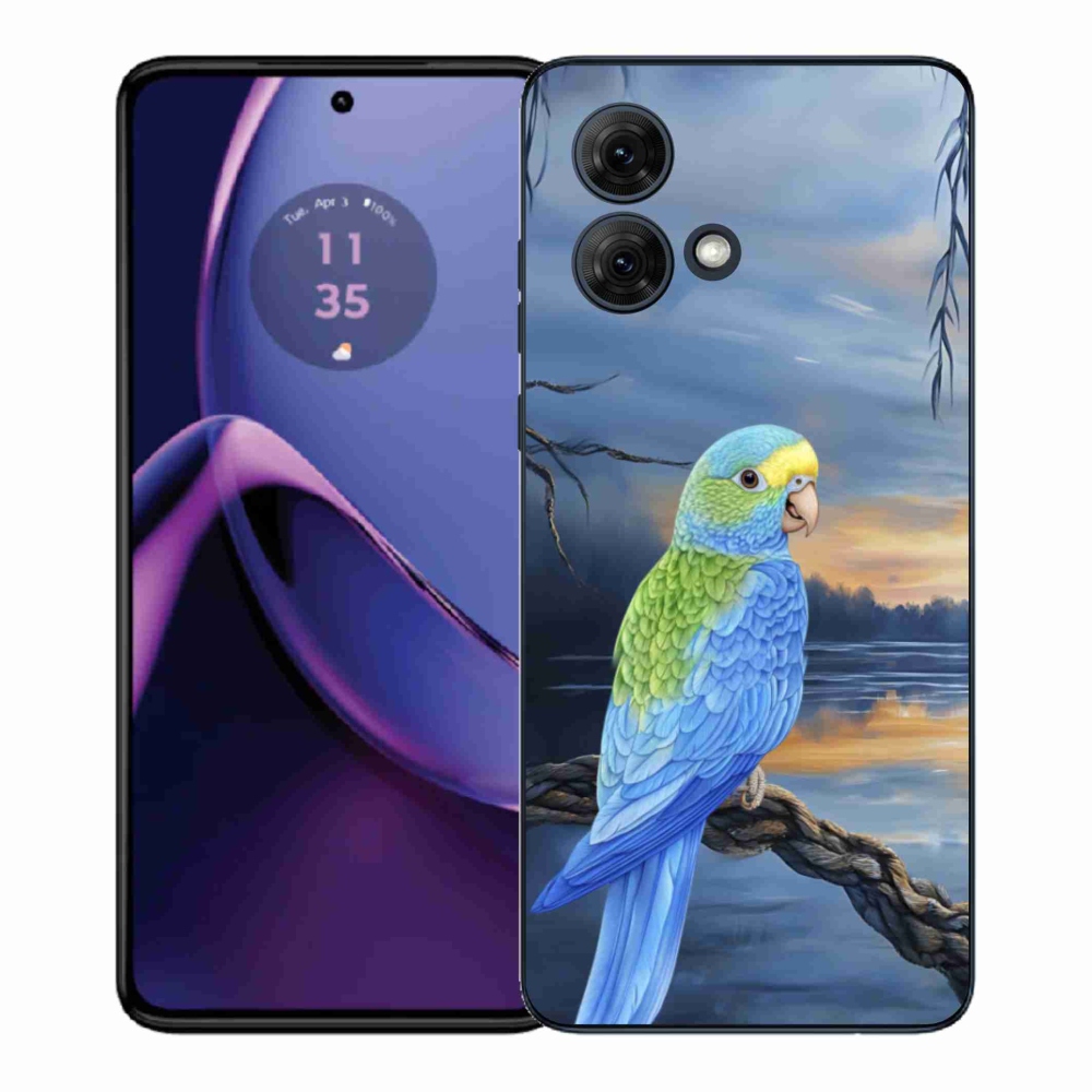 Gélový kryt mmCase na Motorola Moto G84 5G - modrý papagáj