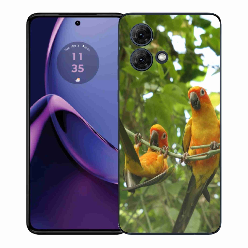 Gélový kryt mmCase na Motorola Moto G84 5G - papagáje aratingy
