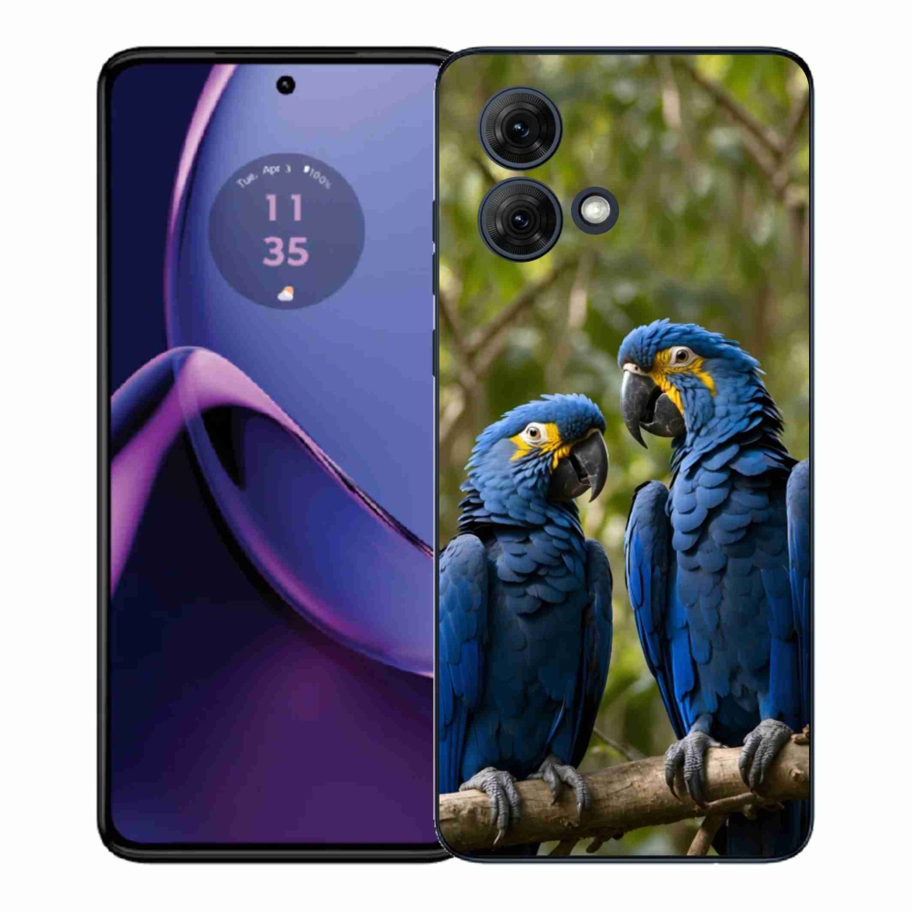 Gélový kryt mmCase na Motorola Moto G84 5G - papagájové duo