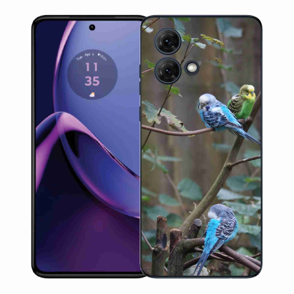 Gélový kryt mmCase na Motorola Moto G84 5G - papagáje na vetve