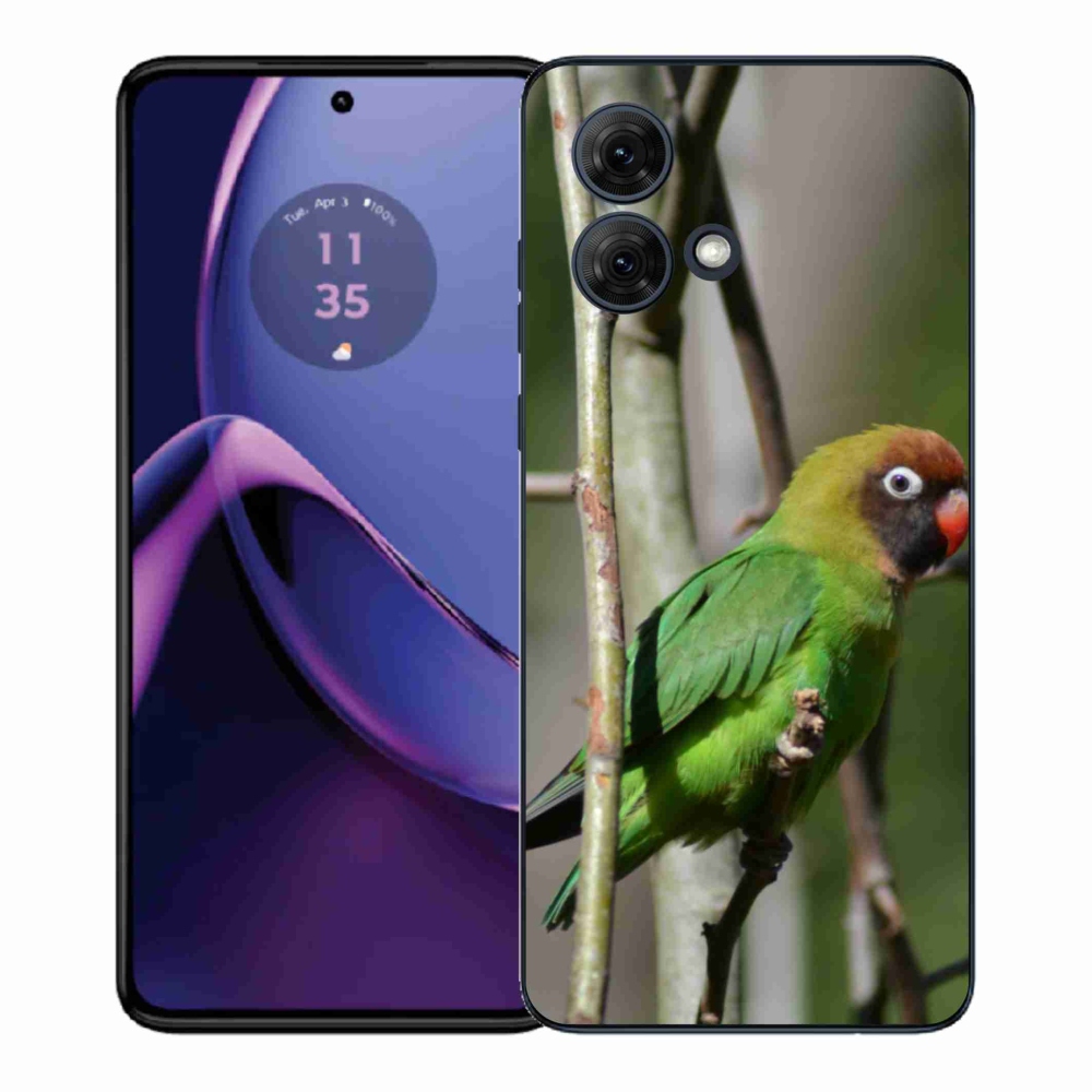Gélový kryt mmCase na Motorola Moto G84 5G - papagáj agapornis