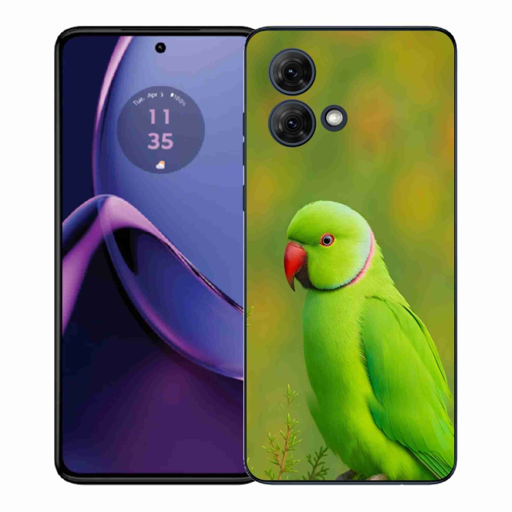 Gélový kryt mmCase na Motorola Moto G84 5G - papagáj Alexandr 2